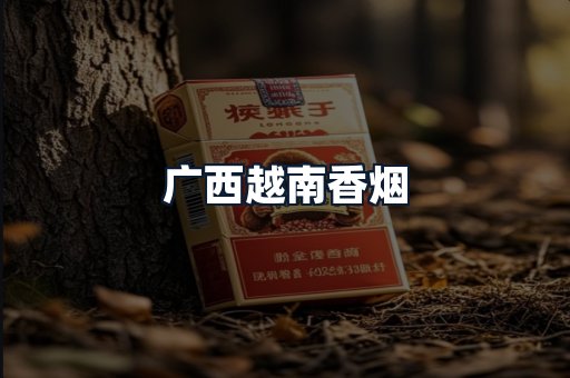 广西越南香烟